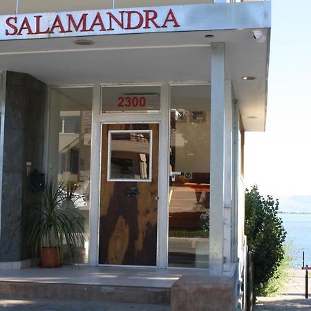 Salamandra Apartamentos El Calafate Dış mekan fotoğraf